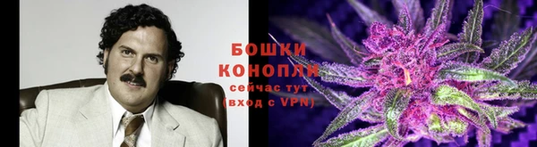 ECSTASY Аркадак