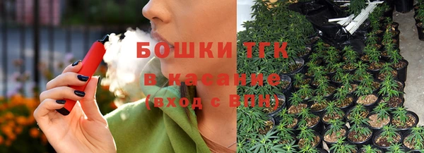 прущая мука Арсеньев
